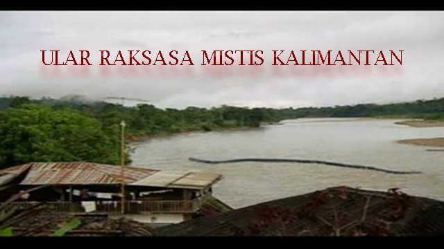 Kisah Mistis Hutan Kalimantan